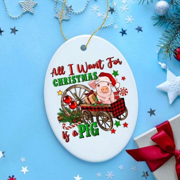 FORPRODUCTAllIWantForChristmasisaPigCuteOrnament3DRealisticMockup 09